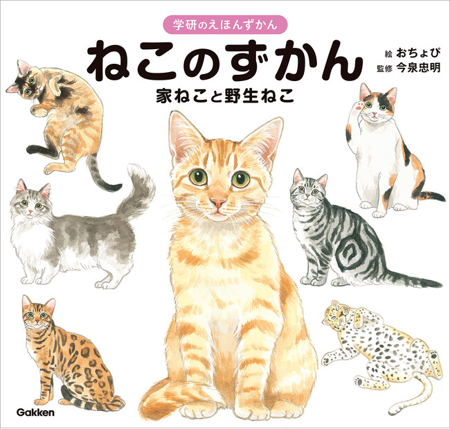 八木伸子、【花のある室内】、希少な額装用画集より、厳選、新品