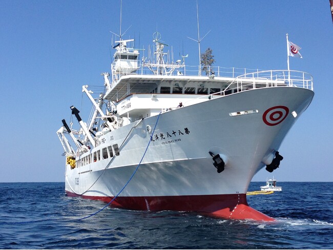 共和水産・明豊漁業がカツオ・キハダマグロのまき網漁業でMSC漁業認証を取得