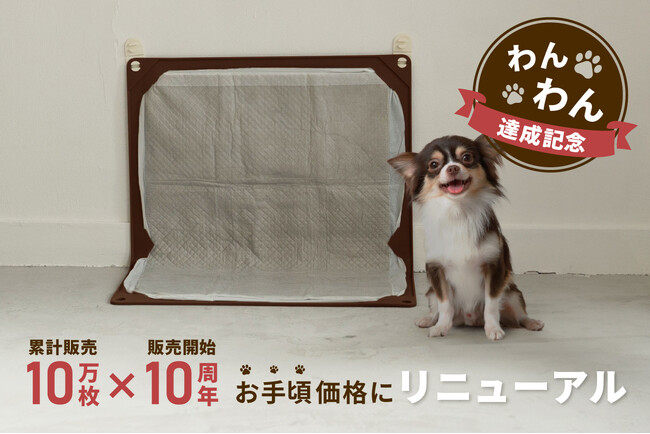 わんわん達成記念！販売10周年×累計販売数10万枚超のHARIO PET犬用トイレマットがお手頃価格になってリニューアル発売