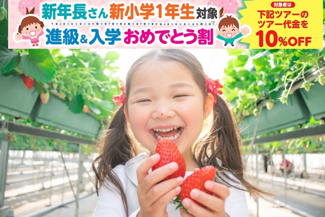 【3月10日実施】春の1dayキャンプ~いちご狩り&立体迷路チャレンジ編~