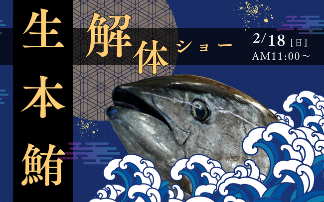 『サカナタベタイMEGAドン・キホーテ本八幡』の生本鮪解体ショーは、2024年2月18日(日)11時スタート!!