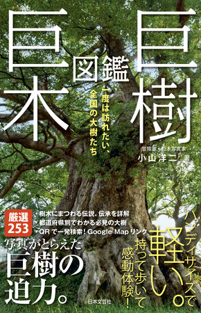 一度は訪れたい日本の大樹253種を厳選紹介『巨樹・巨木図鑑』2/21発売