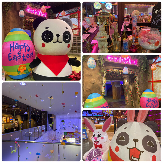カラフルな花とイースターエッグの祭典「KITフラワーイースター2024」いよいよ開幕！【愛媛県 松山市】