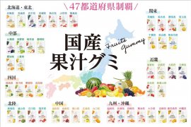 国産果汁グミ 国産果汁グミ