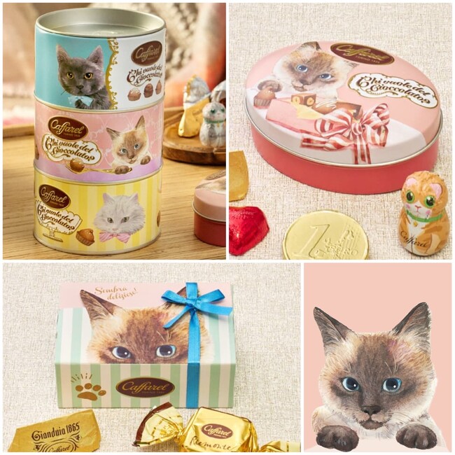 イタリアの老舗チョコレートブランド「カファレル」より、ねこの日にちなんだスペシャルセット「カファレル ねこの日セット」を販売
