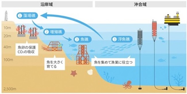 iU、「XRを用いた海のサステナブルサイクルに関する教育コンテンツ の開発」を岡部株式会社から受託
