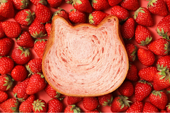 ねこねこに春限定フレーバーが登場！いちごの旨味を閉じ込めた『ねこねこ食パン 濃いいちご』が3月1日（金）より新発売。さらに7日間限定で”三毛猫の日”を記念したオンラインストア限定のねこねこ食パンも販売