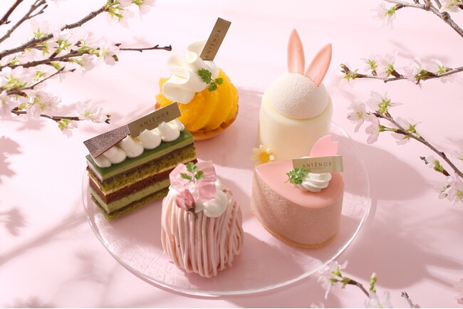 【アンテノール】桜咲く“お花見スイーツ”で春色アフタヌーンティー。桜と紅茶をかけ合わせた桜スイーツや、旬の清見オレンジのタルトなど春づくしの味わい。