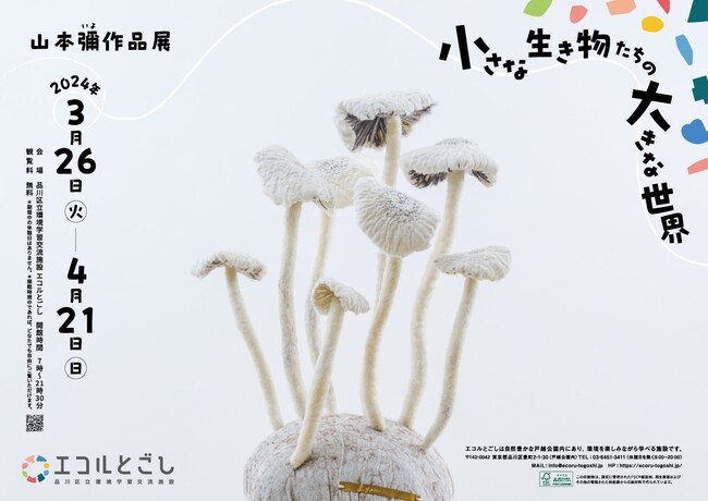 ＜「ウッドデザイン賞2023」を受賞した心地よい木の空間で、生き物・自然を知る。＞山本彌作品展「小さな生き物たちの大きな世界」2024年3月26日(火) - 4月21日(日)
