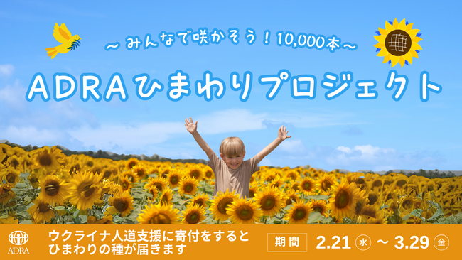 1万本のひまわりを咲かせよう。ウクライナ人道危機発生から2年。本日2月21日から、ウクライナに支援と希望を同時に届けられる「ADRAひまわりプロジェクト」をスタートします
