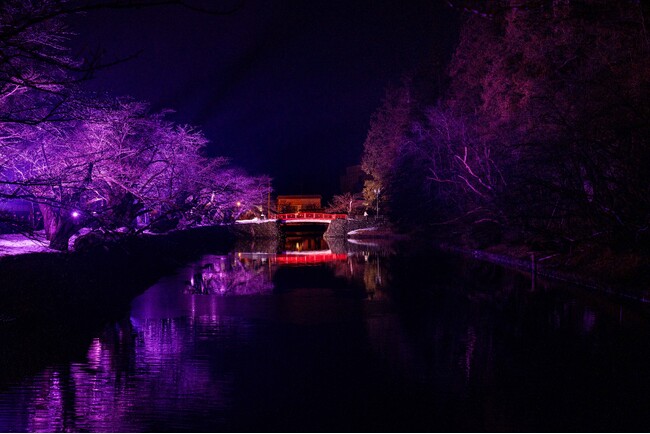 【イベントレポート】上杉雪灯篭まつりを桜色に染めた初開催の「東北一番桜よねざわプロジェクト」地域内外の力を合わせ、伝統の祭りを盛り上げる。お祭りには10.8万人が来場！(山形県米沢市)