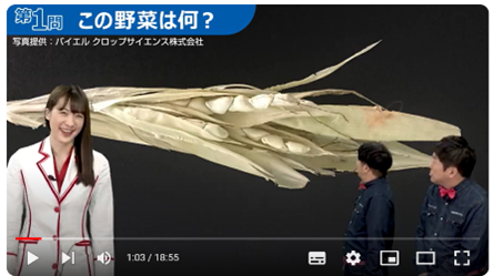 サイエンスエンターテイナーの五十嵐美樹さんが出題する遺伝子組み換え作物のクイズに、お笑い芸人TOKYO COOLがチャレンジ！遺伝子組み換え作物について楽しく学べる動画を公開