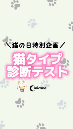 猫の日(にゃんにゃんにゃんの日)イベント・あなたのねこタイプ診断開催決定!