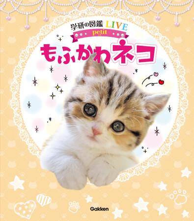 【全ネコ好き必見にゃ！】ネコ種ごとの性格や、ネコのきもちがわかる！ かわいさ悶絶級！？ の“１冊まるごとネコ”図鑑が発売