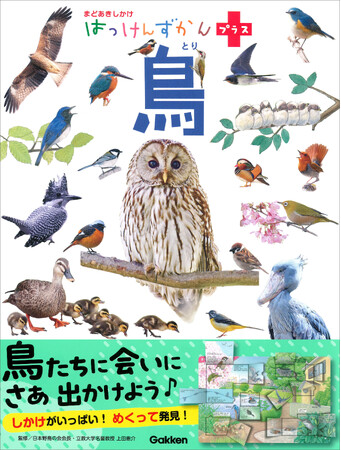 しかけをめくって鳥を発見できる図鑑『はっけんずかんプラス 鳥』発売！ 身近な鳥の世界を知ると、お散歩が楽しくなる♪