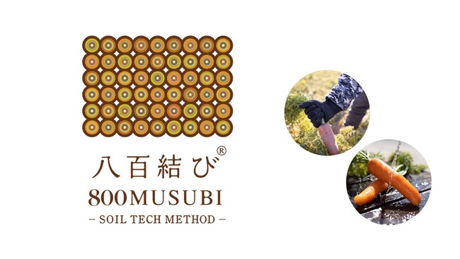 土のマーケティング会社 壌結合同会社が健康土壌から生み出した糖度１２度を超える人参を提供開始