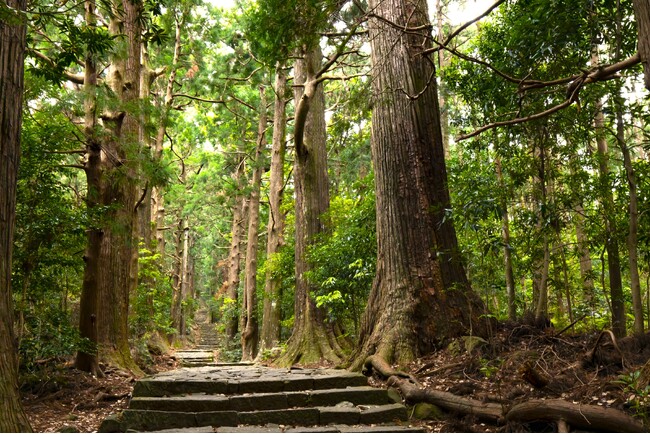 休暇村南紀勝浦、「紀伊山地の霊場と参詣道」世界遺産２０周年を記念した特別企画「熊野古道巡り　大門坂プレミアムガイド」を4月1日より実施　～平安の時から憧れを掻き立てた蘇りの道へ大人旅のご案内～