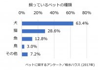 生活に潤いや安らぎをもたらす、愛犬との暮らしをもっと心地よくする住まいづくり
