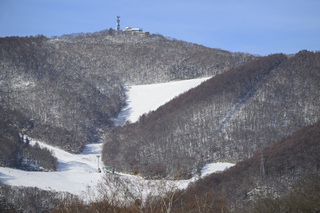 札幌藻岩山スキー場の運営体制移行に向けた事業者を募集します
