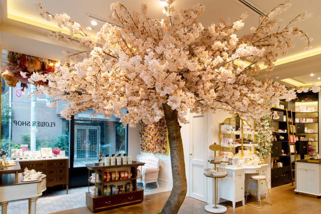 店内で多くの人々を魅了した桜の木をアップサイクル。人にも環境にも優しい製品づくりを