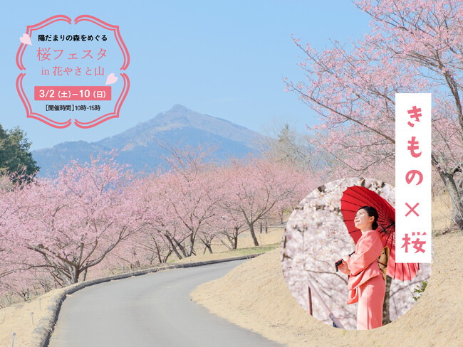 【いばらきフラワーパーク】「桜フェスタ in 花やさと山」開催！着物でめぐる250本の河津桜。マルシェやお花見森カフェ、さくら撮影会など