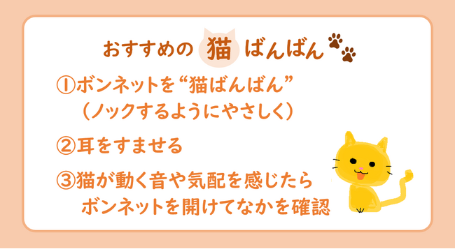 猫がクルマに入り込んでしまったトラブル１カ月で２４件！　１年通して発生するトラブル、暖かくなっても引き続きご注意を！