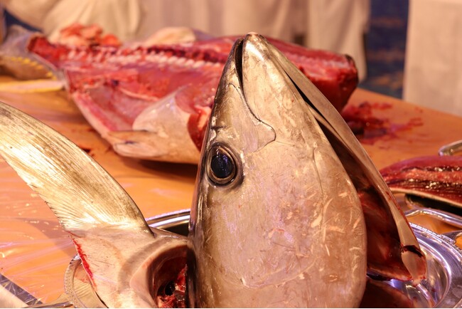 『アカマル屋鮮魚店 大宮すずらん通り店』の人気イベント、鮮度抜群 生本鮪解体ショー&即売会を2月24日(土)12時~開催!