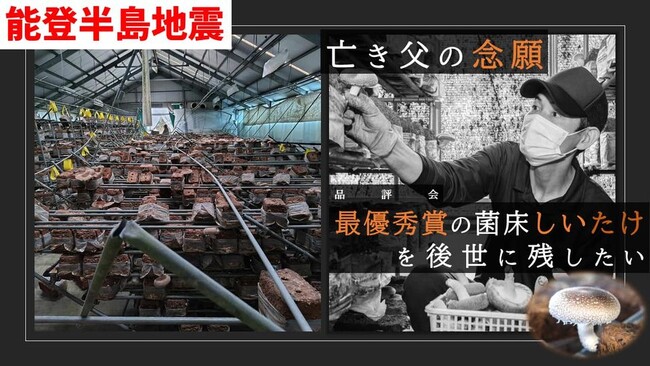 【能登半島地震】被害を受けた菌床しいたけ栽培施設の復旧のためにクラウドファンディングを開始しました