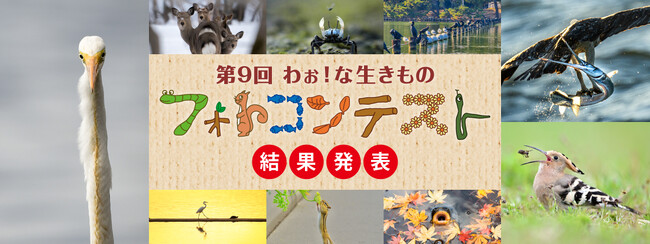 「第９回わぉ！な生きものフォトコンテスト」グランプリ発表