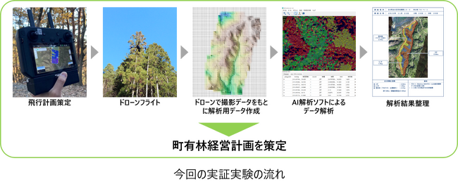 ドローンとAI解析ソフトウェアを活用した森林調査のDXに関する実証実験を実施　森林情報取得調査において約8割の業務工数削減が見込めることを確認