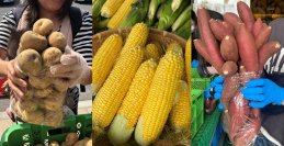 【道の駅木更津うまくたの里】来場850万人突破！物価高にも負けない！今年もワンコインで新鮮農産物の詰め放題『ウマウマ野菜イベント』開催