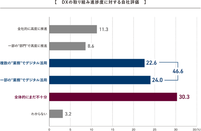 約3割の企業が「DX進捗は全体的にまだ不十分」と回答！ 情報資産の「経営判断への活用」は約1割、多くはデータドリブン経営に至らない結果に。「2023年度 デジタル経営に関するアンケート調査」結果を発表