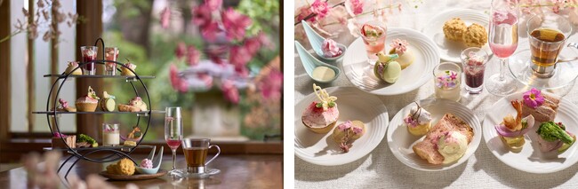 2024年の春がまもなく到来！華やかな春色に心が弾むスイーツが満載！「桜スイーツフェア」3月1日（金）より開催