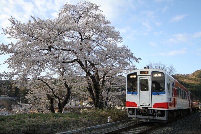 祝！「三陸鉄道」開業４０周年　休暇村陸中宮古では、三陸鉄道の開業４０周年を祝し、4月1日（月）から「三陸鉄道開業40周年記念　三鉄グッズ付き宿泊プラン」を販売します