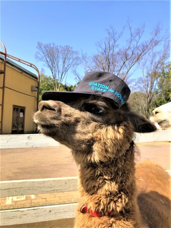 「幕張豊砂駅開業１周年まつり」を開催します！
