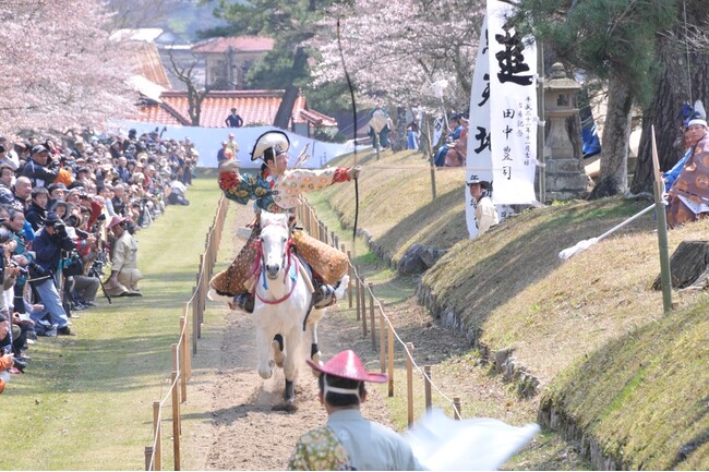 ご縁の国しまね＆美肌県しまね！桜やイベントなど春の魅力満開
