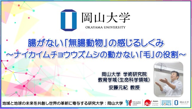 【岡山大学】腸がない「無腸動物」の感じるしくみ ～ナイカイムチョウウズムシの動かない「毛」の役割～