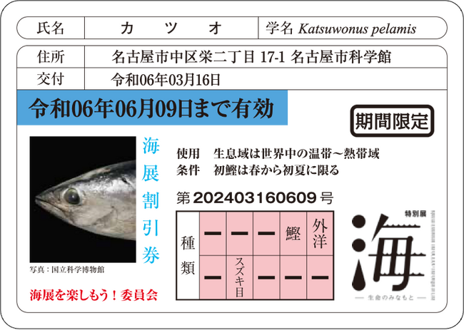 【特別展「海 ―生命のみなもと―」】「魚の免許証風割引カード」やオリジナルグッズが登場!