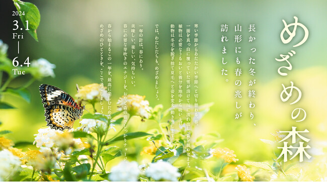 【桜のおやど】かみのやま温泉 おやど森の音で春イベント「めざめの森」を3月1日より開催。