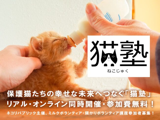 保護猫たちの幸せな未来へつなぐ「猫塾」リアル・オンライン同時開催・参加費無料！ネコリパブリック主催、ミルクボランティア・預かりボランティア講座参加者募集！