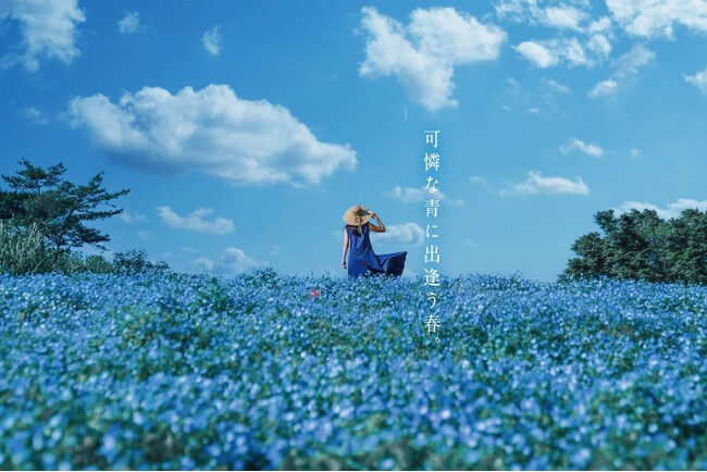 公園に春を告げるイベント「フラワーフェスティバル2024」を開催します（国営昭和記念公園）