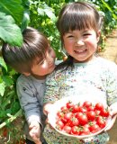 子どもにも人気