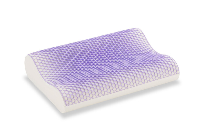 寝苦しい夜に使いたい「ZUKAN PILLOW(ズカンピロー)」を発売