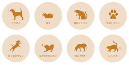 高品質ペット用CBDオイルが特徴のJustRelaxから動物病院専用Bidiol(ビジオール)を3月1日発売！