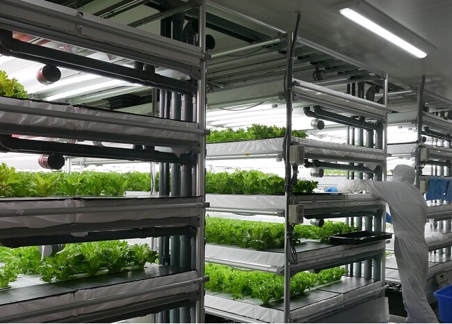 C&Rグループの特例子会社 One Leaf Clover　就労継続支援B型事業所Beanstalk本格始動