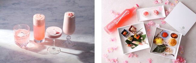 カクテルコンクールでグランプリを獲得した「岩崎 櫻子」がつくる春色に染まるSAKURA COCKTAILが初登場　2024年3月1日（金）～4月14日（木） 期間限定販売