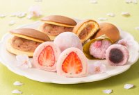 おめでとうとともに春を味わう。手土産やお祝に最適な季節限定桜菓子販売します