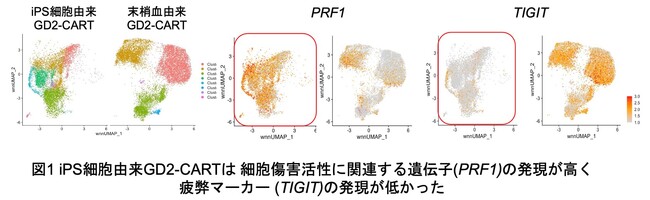 小細胞肺がんに対するiPS細胞由来GD2抗原標的CART療法の開発