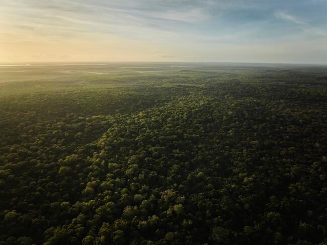 【ルイ・ヴィトン】ルイ・ヴィトンと自然保護慈善団体「People For Wildlife」のパートナーシップ、活動に関する最初のレビューを発表