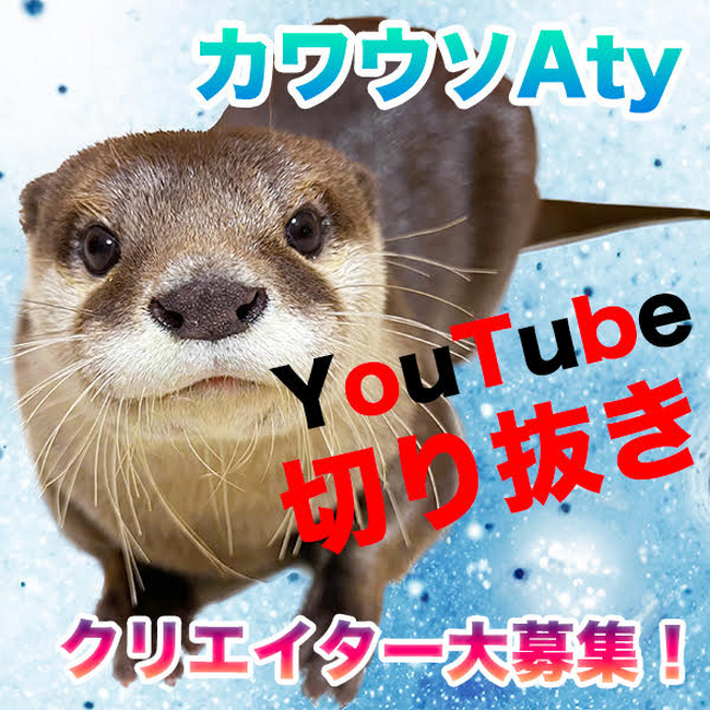 SNS総フォロワー数257万人 大人気のカワウソYouTuber「Aty」「Ui」と「にゃん先輩」ファンの皆様からの切り抜き動画募集開始 サブチャンネル「MrCat」で公開！